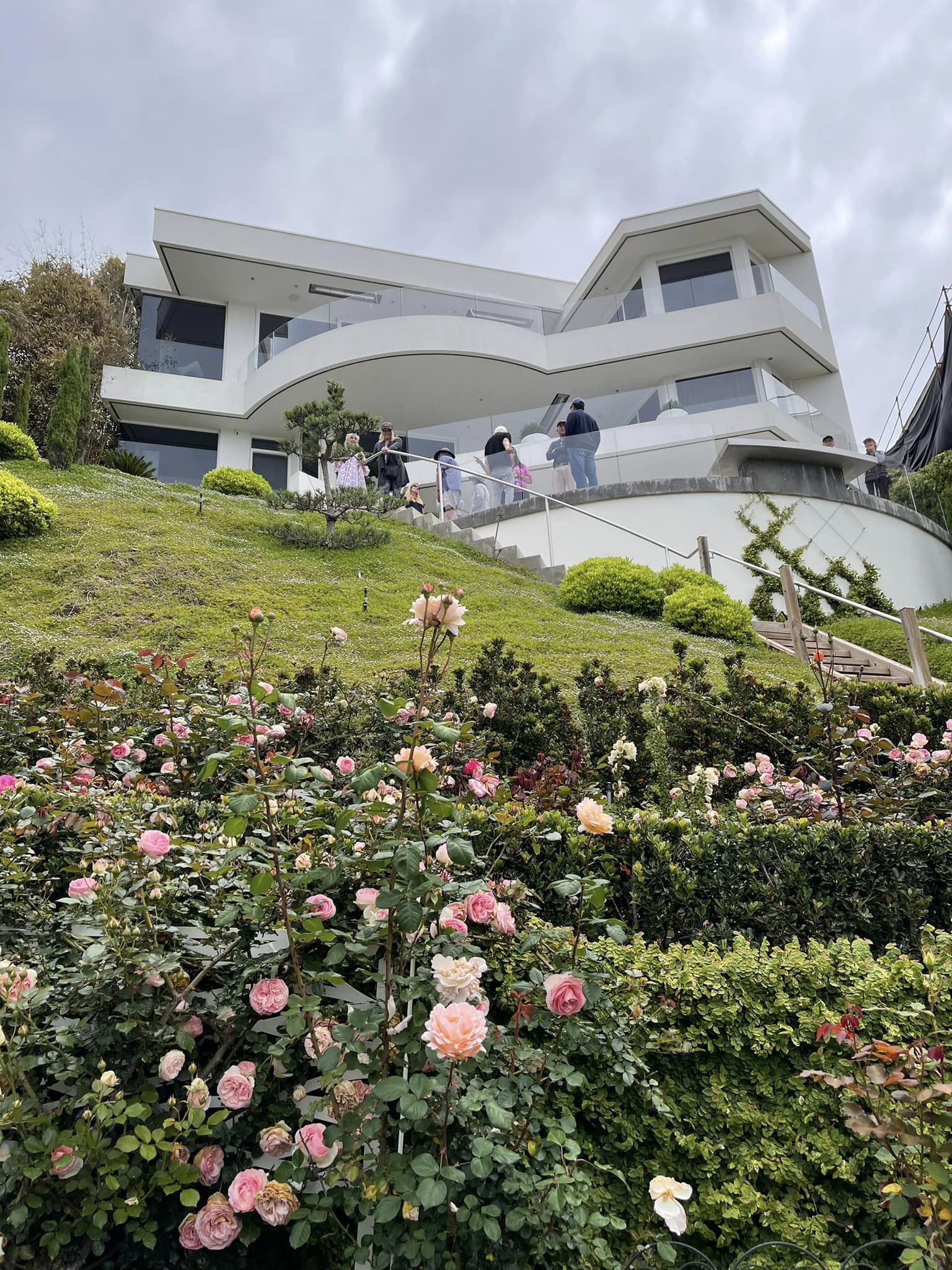 Pink roses at ocean front
