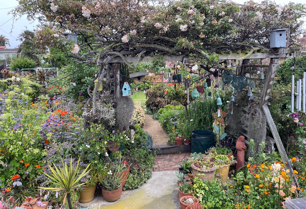 rose arbor in our garden of the year