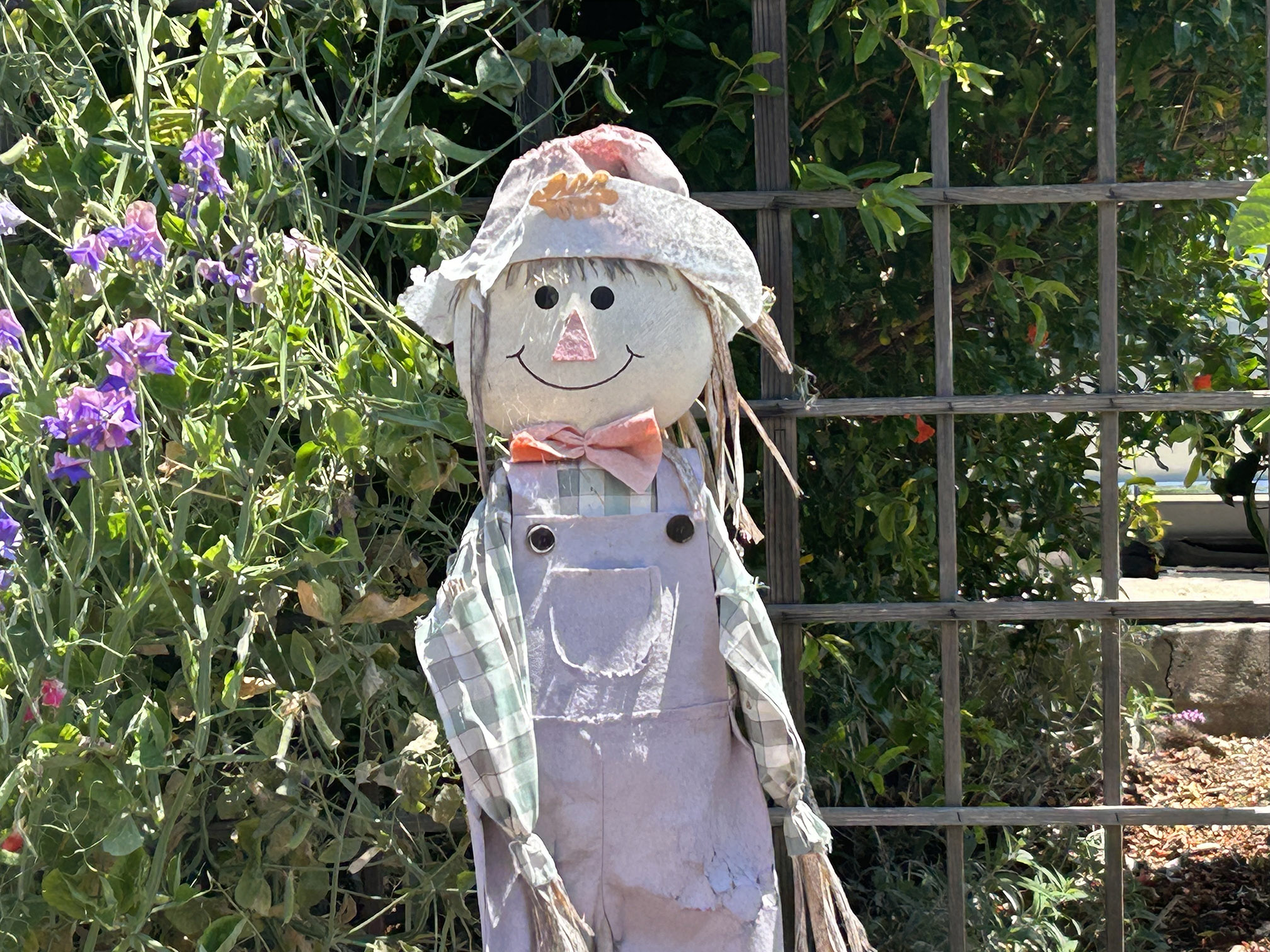 Scarecrow