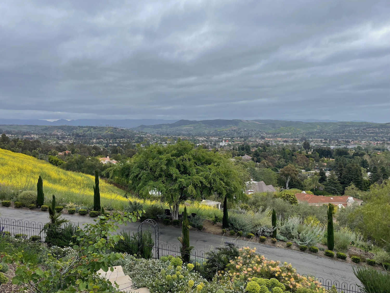 Sheila Peterson's terraced garden