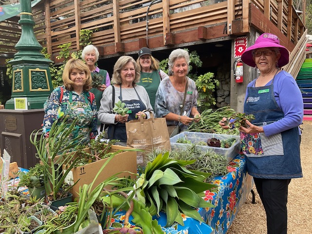 Club members give away plant cuttinga at Green Day at the Sawdust Festival